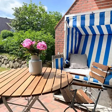 Kleines-mollymook * Wenningstedt-Braderup